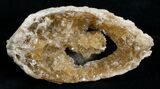 Crystal Filled Fossil Clam - Rucks Pit, FL #5535-1